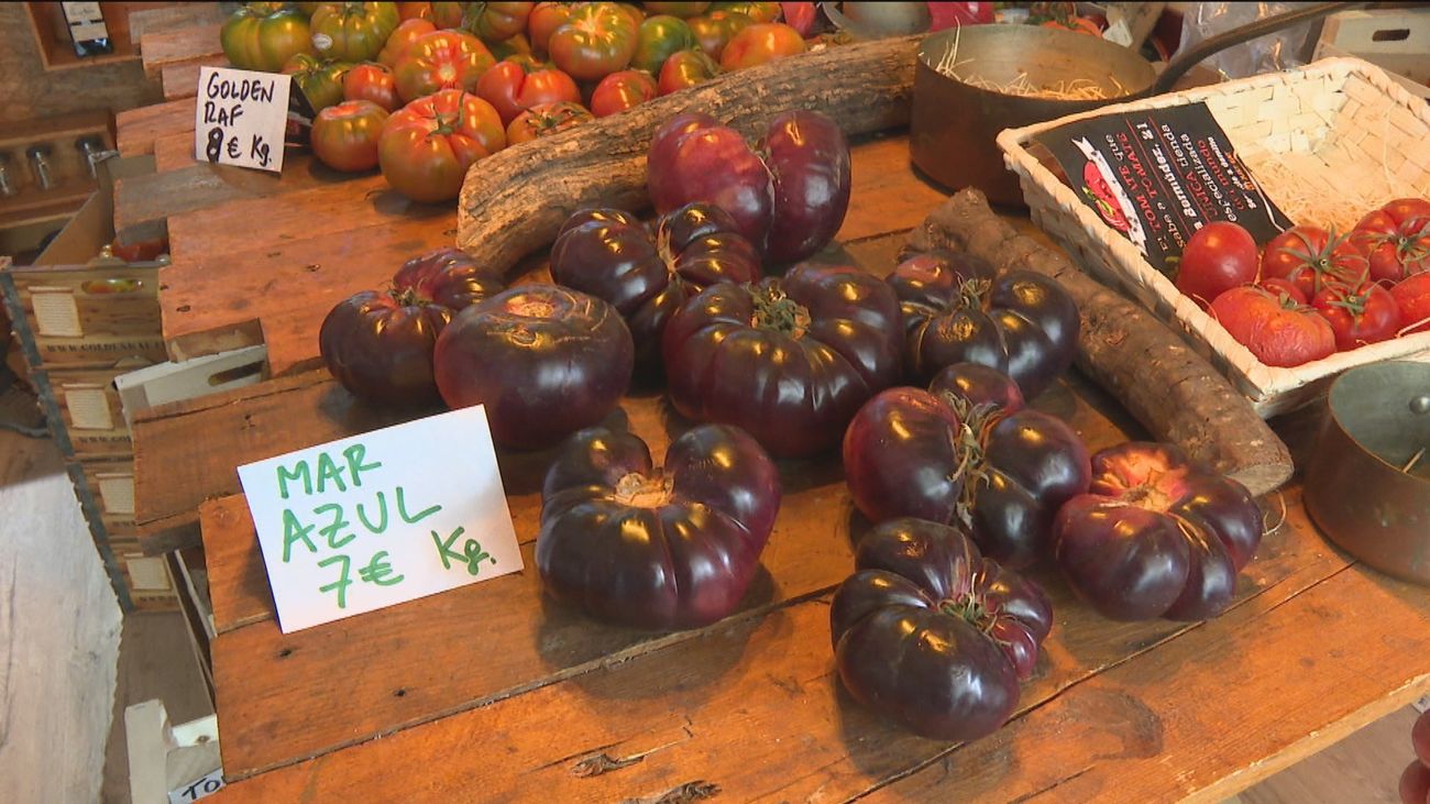 Tomates españoles y extranjeros, mano de obra y pesticidas