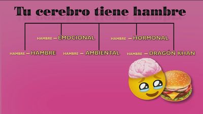 Estos son los 5 tipos de hambre