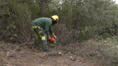 Inician los trabajos de prevención de incendios forestales en Madrid
