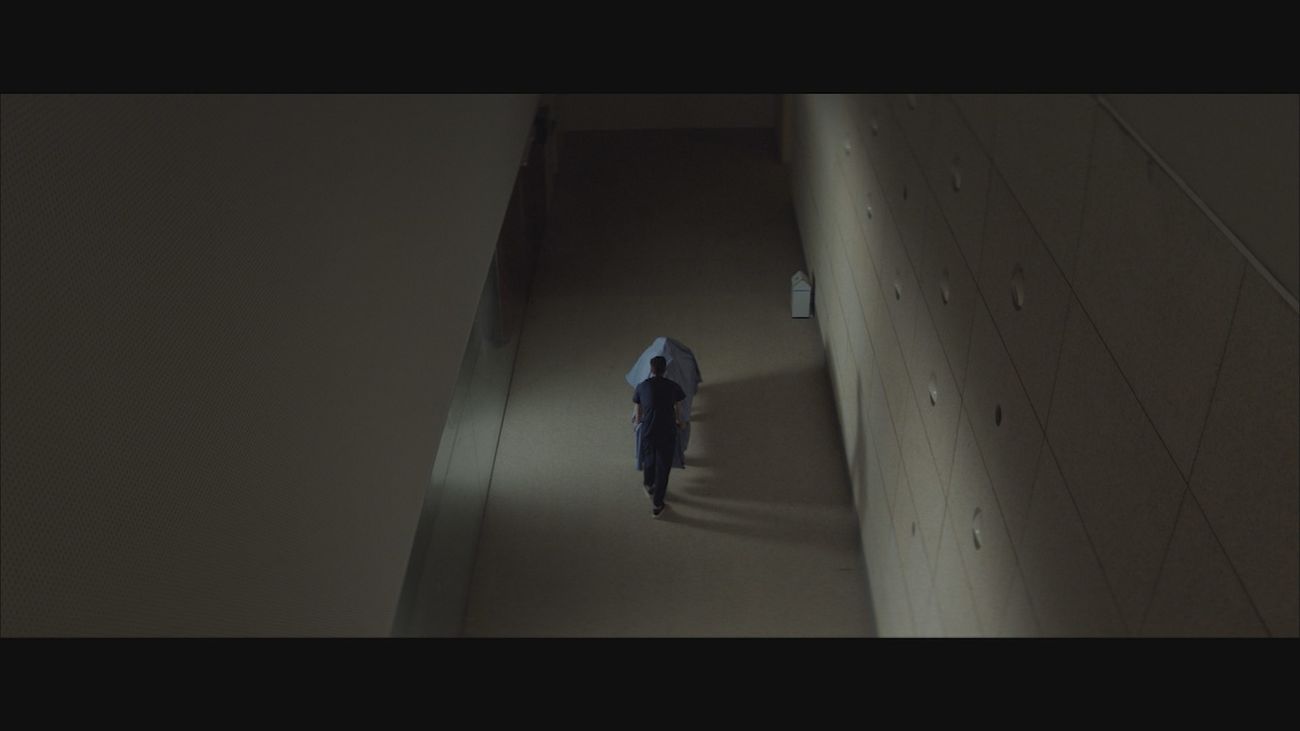 Cortometrajes 'a la carta': 'Hipocampo'