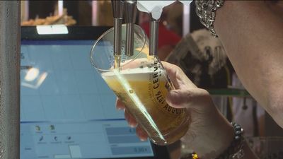 Cae el consumo de cerveza, el sector pide que le "mimen" fiscalmente