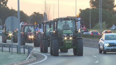 Asociaciones agrarias defienden la unidad de acción y apelan a la movilización y a evitar la división