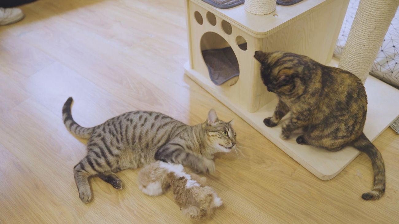 La Otra Agenda 10.02.2024