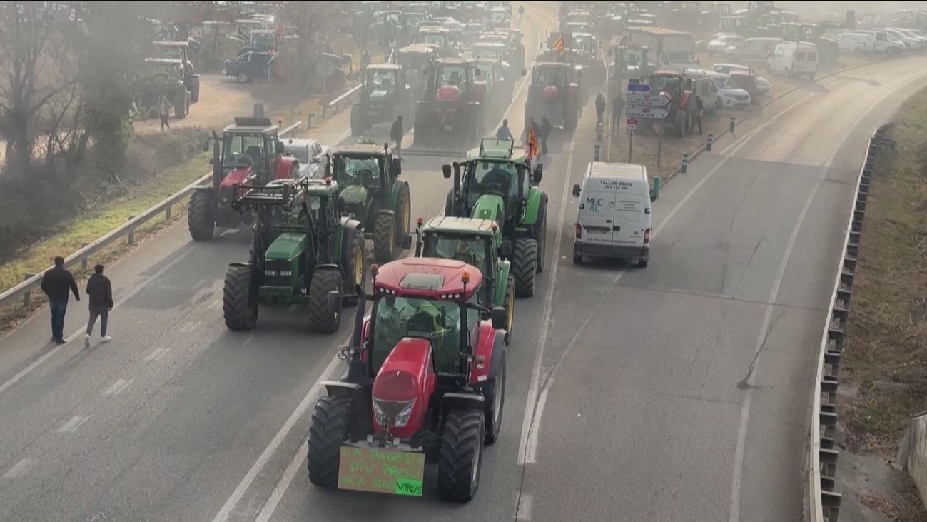 La dependencia en España de alimentos producidos fuera aumentó un 88% en diez años