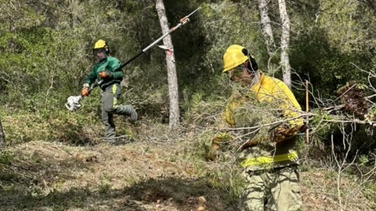Retenes forestales en la Dehesa de Arganda del Rey