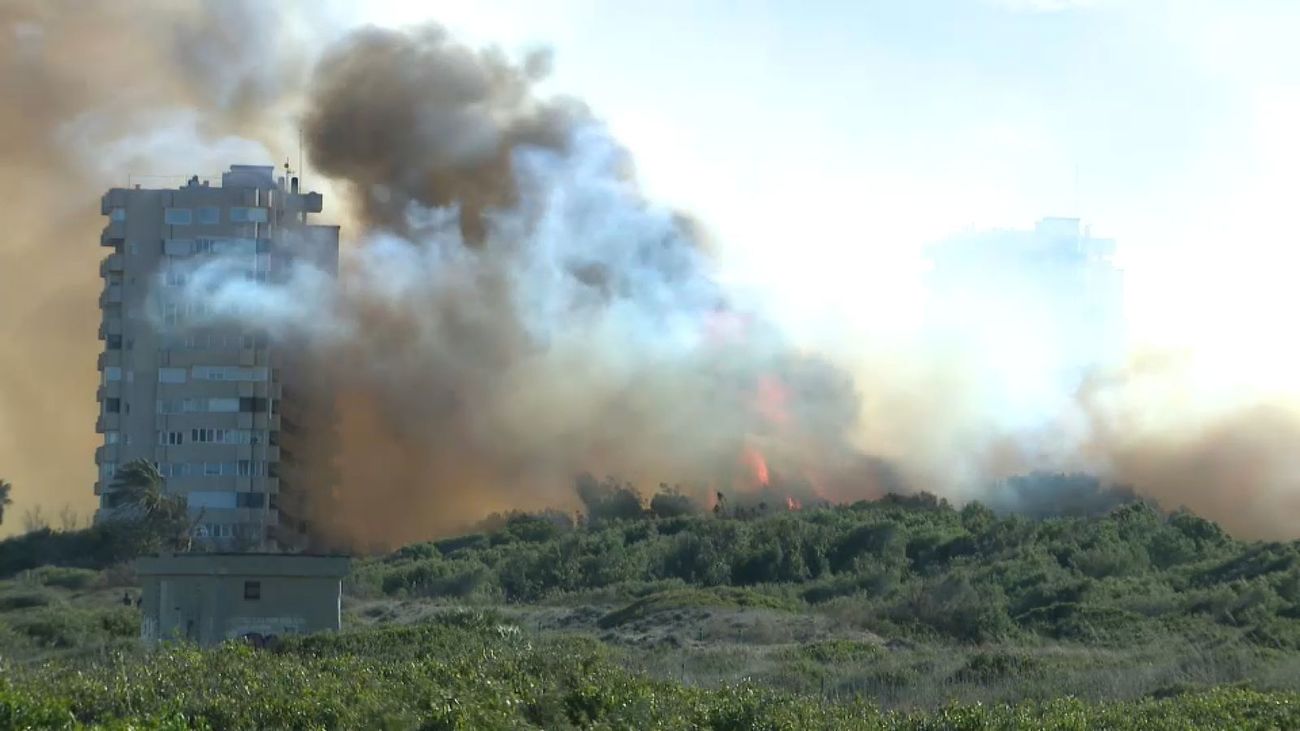 Estabilizado el incendio de El Saler, Valencia, que obligó al desalojo de cinco torres de viviendas