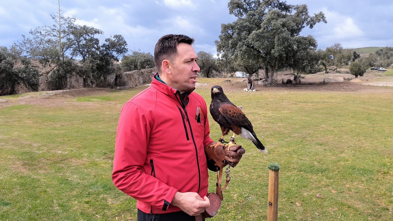 El emotivo reencuentro entre un águila y su dueño en Valdemorillo