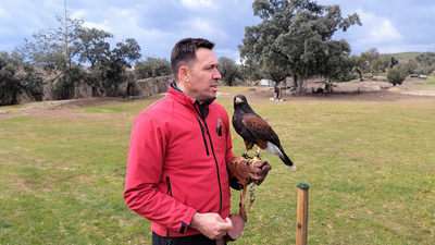 El emotivo reencuentro entre un águila y su dueño en Valdemorillo
