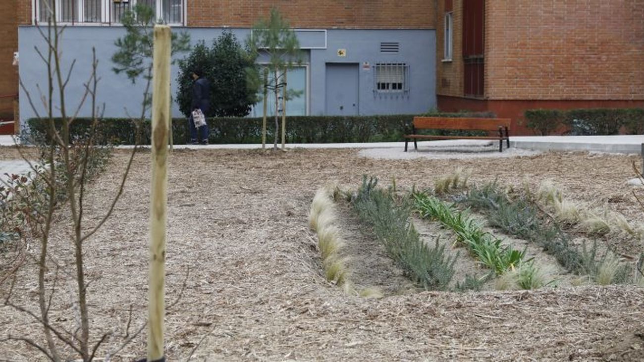 El Ayuntamiento de Madrid comienza a ajardinar las zonas interbloques