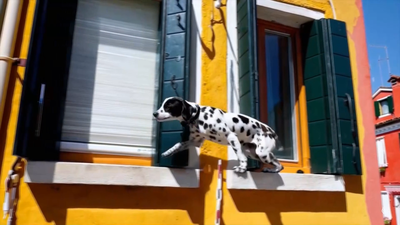 Los peligros de 'Sora' de OpenIA... ¿Qué puede salir mal?