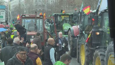 Asaja Madrid califica las medidas propuestas por Planas como "matices a la problemática del sector"