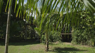 Visitamos la casa de la única persona que residió en la isla Punta Mona