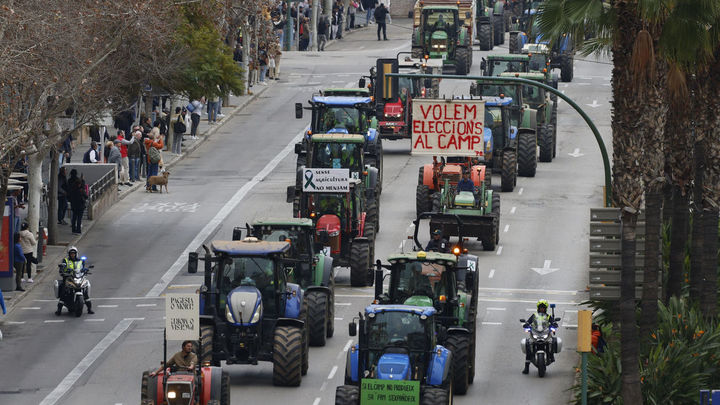 Tractores de toda Mallorca participan en una tractorada que recorre las calles de Palma para defender el campo balear / EFE