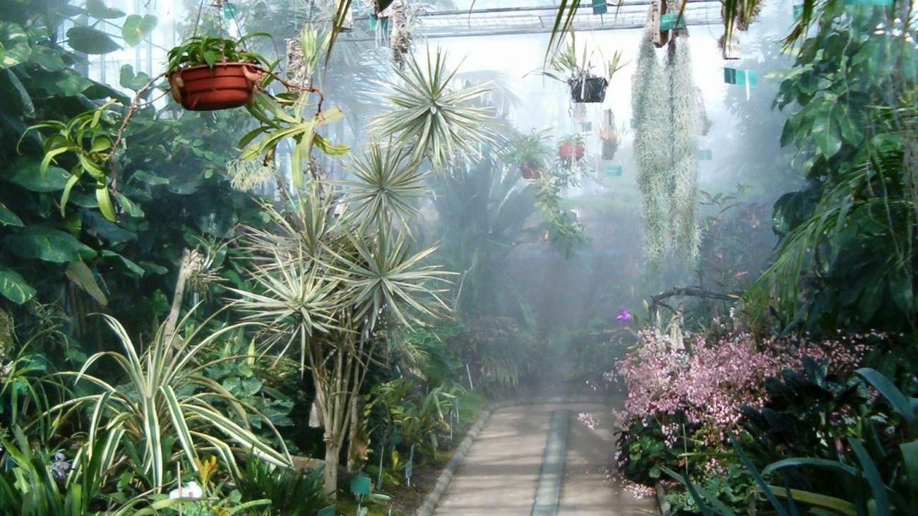 Uno de los espacios del Jardín Botánico de la Universidad de Alcalá de Henares