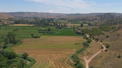 Naturaleza, patrimonio e historia : ¿Qué ver en Orusco de Tajuña?