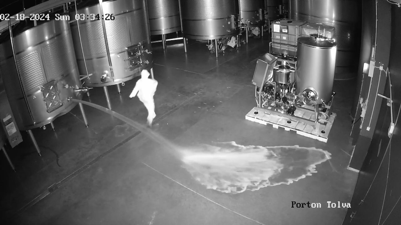 Sabotean una bodega y vacían 60.000 litros de vino valorados en 2,5 millones de euros