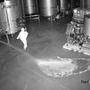Sabotean una bodega y vacían 60.000 litros de vino valorados en 2,5 millones de euros