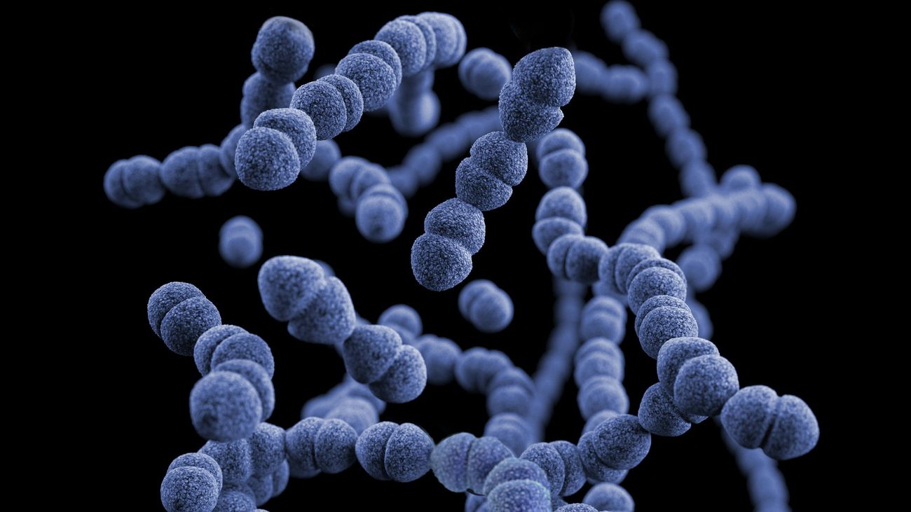 ¿Qué es la microbiota y qué función cumple dentro de nuestro organismo?