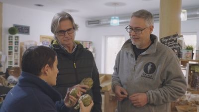 Un truco para cocinar alcachofas