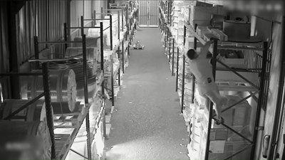 Seis detenidos por robar aluminio y herramientas en naves industriales de Arganda del Rey