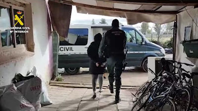 Dos detenidas por cultivar 400 plantas de marihuana en naves ocupadas de Torrejón de la Calzada