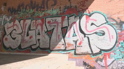 Detenidos 'los zares del grafiti' en San Sebastián de los Reyes