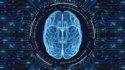 El neurólogo Rafael Yuste alerta de los peligros del uso indebido de la neurotecnología