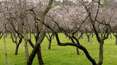 Marzo y abril serán más húmedos en el área atlántica peninsular y cálido en toda España
