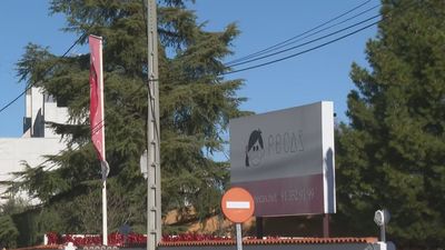 Declaran una empleada y una socia de la guardería 'Pecas' de Pozuelo por presunto maltrato a los niños