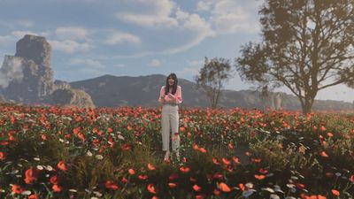 ¿Cómo y cuándo se produce la floración?