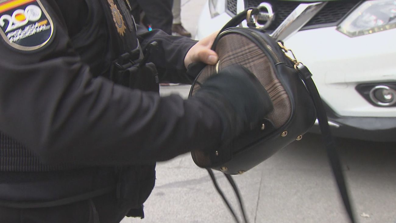 Patrullas ciudadanas contra los clanes de carteristas en Madrid