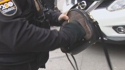 Patrullas ciudadanas contra los clanes de carteristas en Madrid