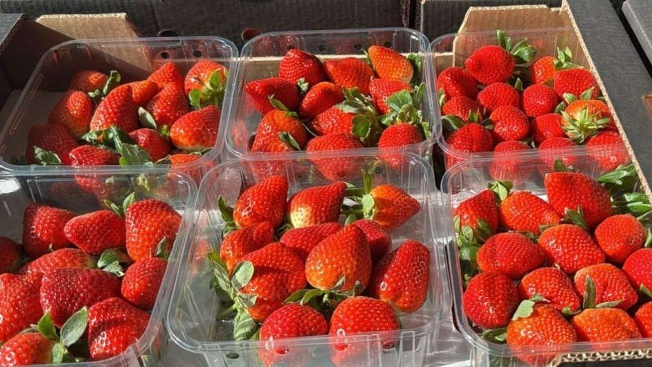 Alerta sanitaria por presencia de hepatitis A en fresas procedentes de Marruecos
