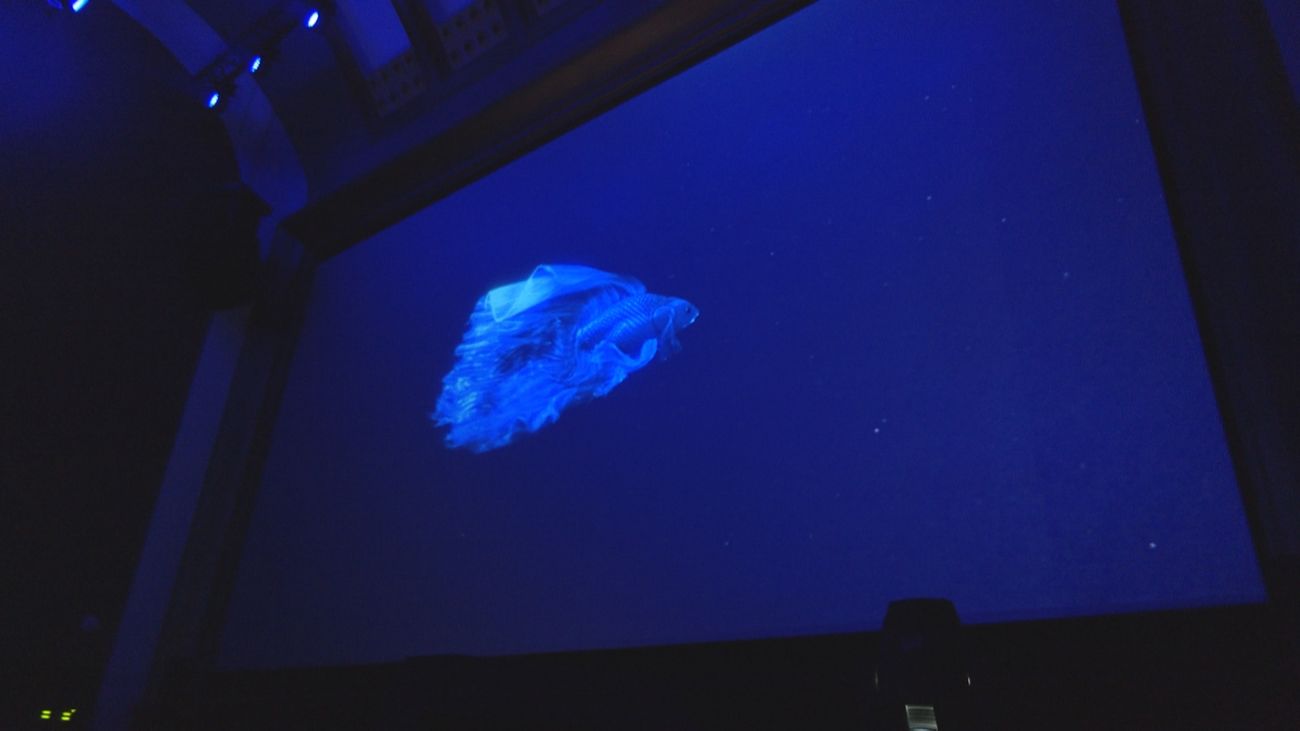 La mayor rehabilitación en la historia de los Cines Callao