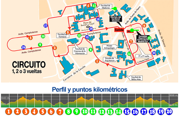 Circuitos / ORGANIZACIÓN