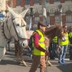 Los agricultores se manifiestan en Madrid en defensa del sector primario tradicional