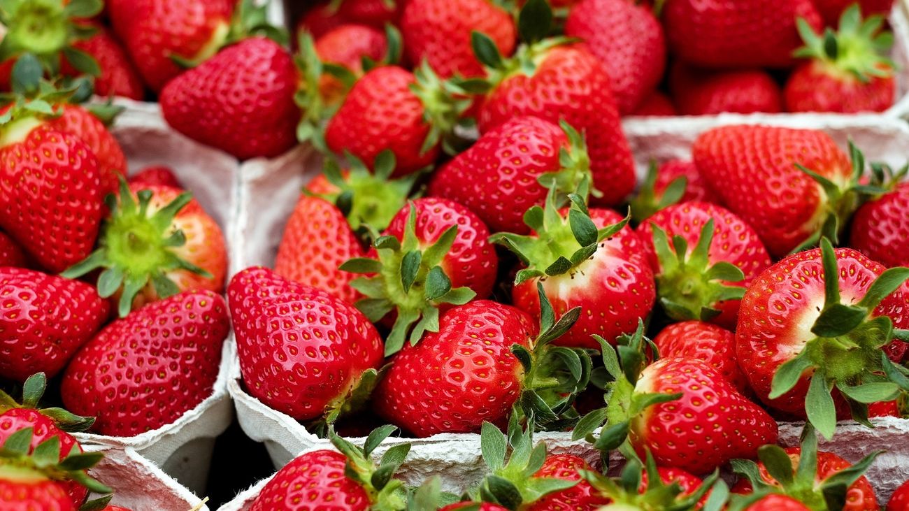 Expertos en seguridad alimentaria sobre las fresas contaminadas: “Nuestra tarea es controlarlo en la frontera y que no llegue al consumidor"