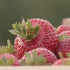 ¿Cómo saber con exactitud el origen de las fresas que consumimos o si es fruta española?