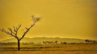 Febrero, noveno mes consecutivo que bate récords históricos de calor a nivel mundial, según Copernicus