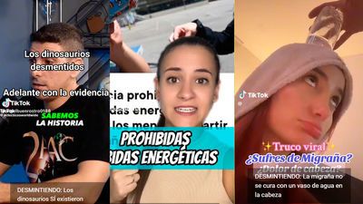 El CSIC lanza el "cazabulos", un proyecto educativo contra la desinformación en redes sociales