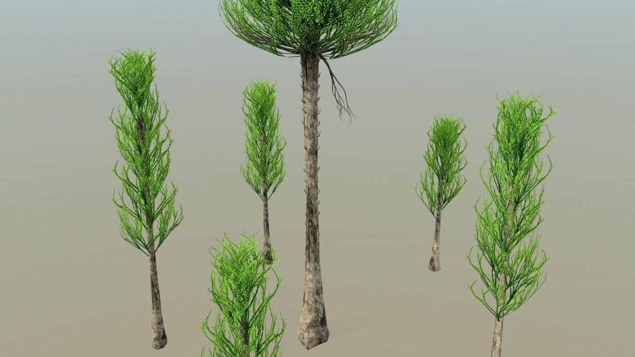 Sin hojas, delgados y con el tronco hueco, así eran los árboles hace 390 millones de años