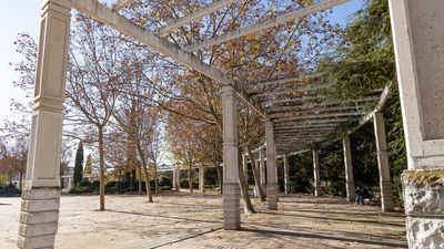 Móstoles cierra sus parques principales por las fuertes rachas de viento