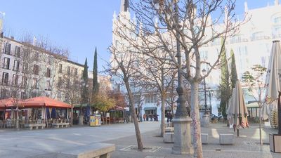 El Ayuntamiento de Madrid denuncia que las grandes talas de árboles las hizo el gobierno de Carmena