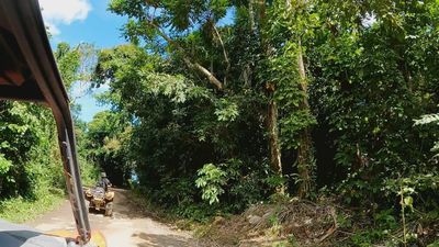 Recorremos en buggy el 'Yunque Rainforest' de Puerto Rico