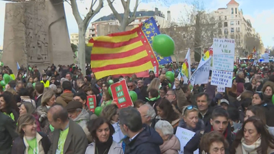 Miles de personas  salen a las calles en Madrid para decir  'Sí a la vida'
