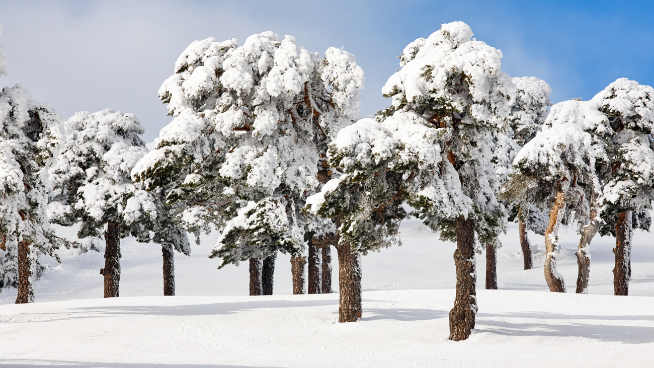 El viento obliga a cerrar las pistas del Puerto de Navacerrada