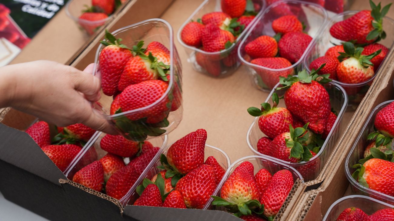 Agricultores españoles regalan fresas de Huelva este martes en la Puerta del Sol