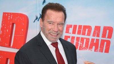 Schwarzenegger volverá a ser protagonista en la comedia navideña 'The Man With The Bag'