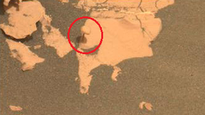 El rover Perseverance encuentra una seta en el suelo de Marte