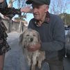 ¡Tobi ya está en casa! Nos lo cuenta su familia en San Martín de Valdeiglesias